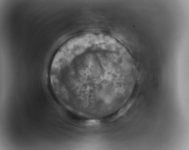 X0000089710053200707201809