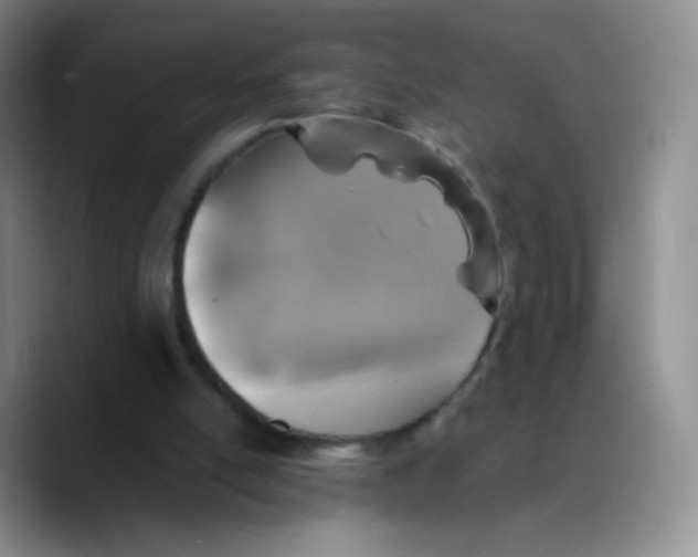 X0000089710054200707201809