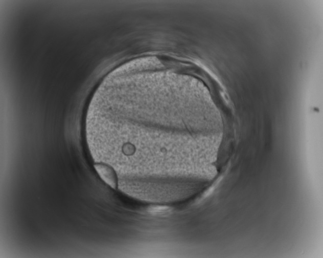 X0000089710055200707201809