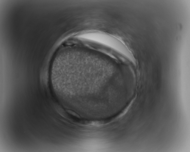 X0000089710056200707201809