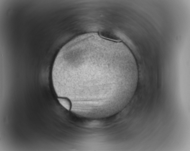 X0000089710058200707201809