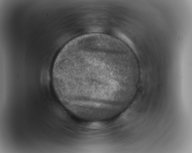 X0000089710059200707201809