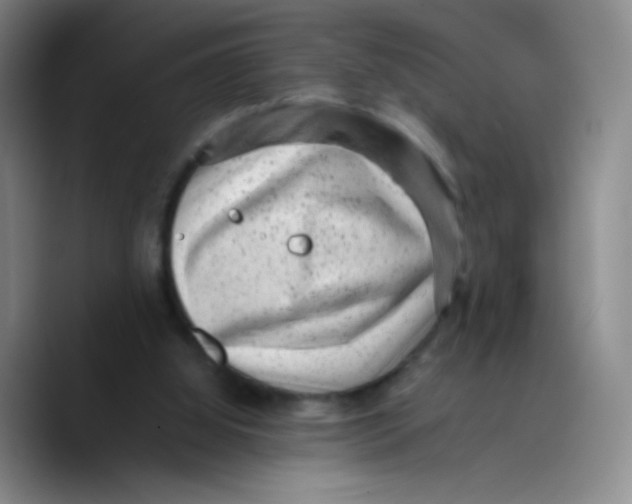 X0000089710060200707201809