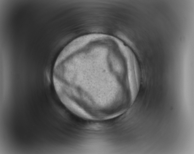 X0000089710062200707201809