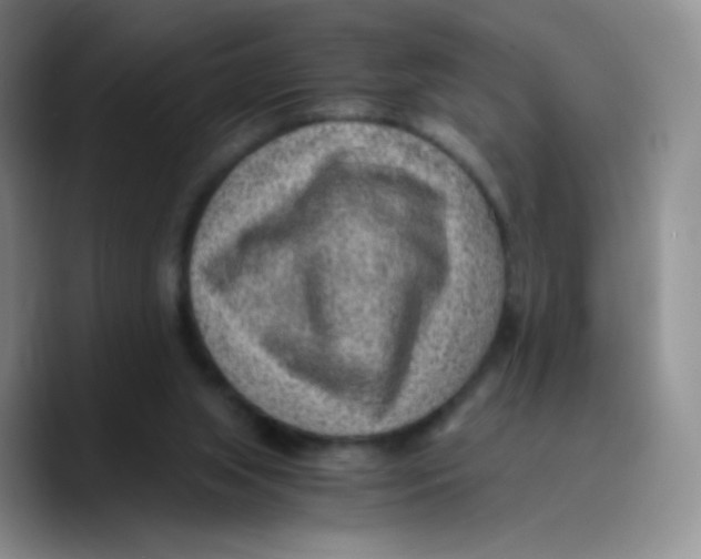 X0000089710063200707201809