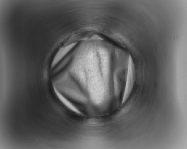 X0000089710064200707201809