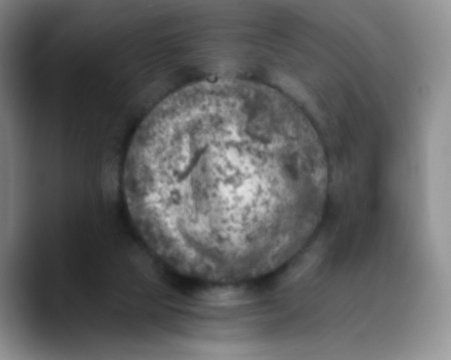 X0000089710065200707201809