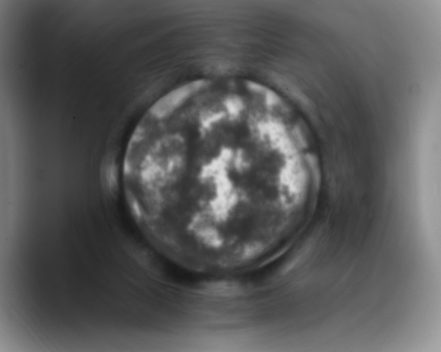 X0000089710067200707201809