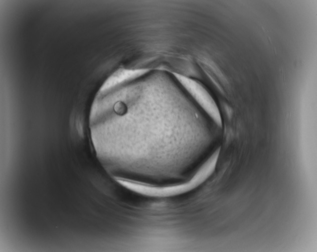 X0000089710068200707201809