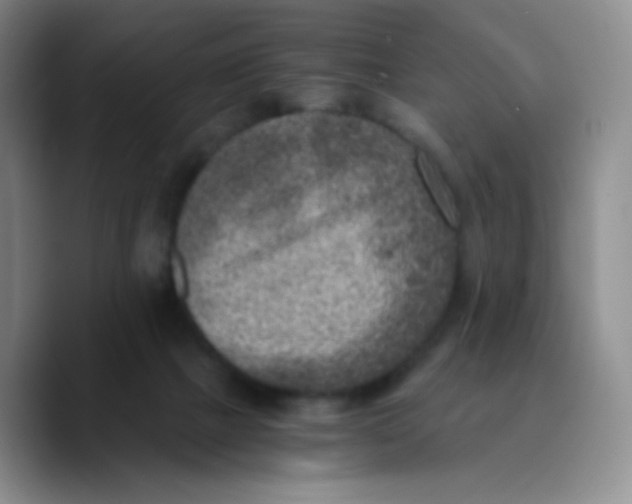 X0000089710073200707201809