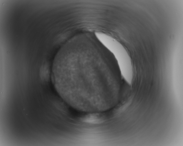 X0000089710080200707201809