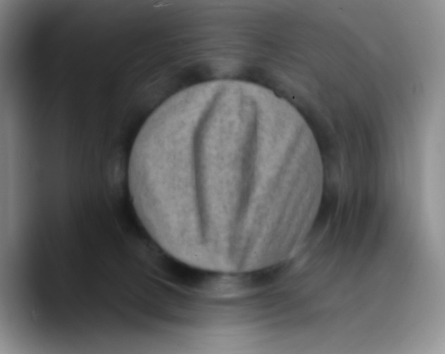X0000089710082200707201809