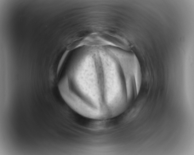 X0000089710084200707201809