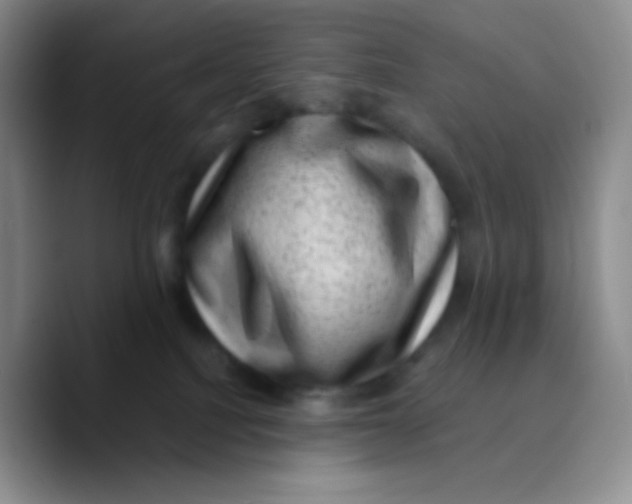 X0000089710088200707201809
