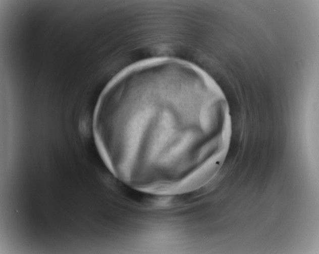 X0000089710090200707201809
