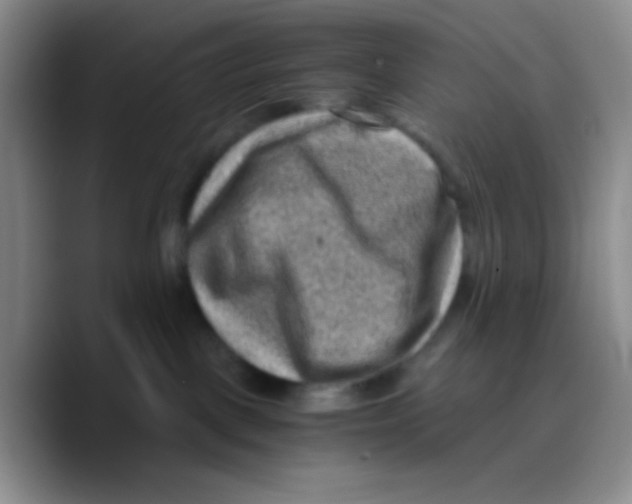 X0000089710093200707201809