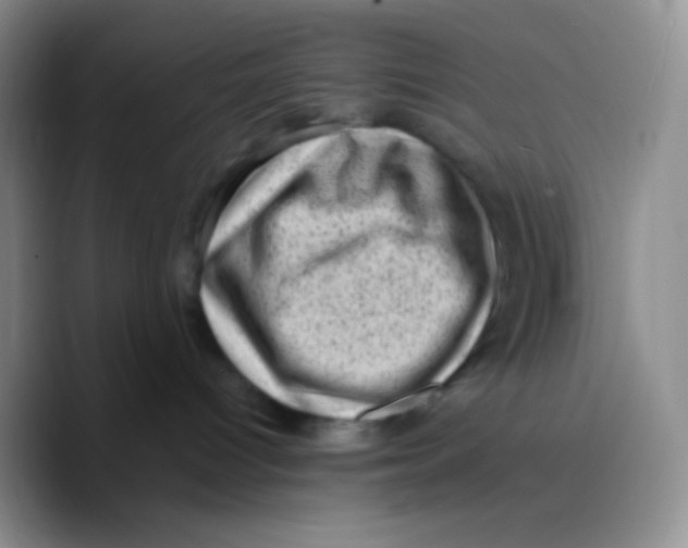 X0000089710096200707201809