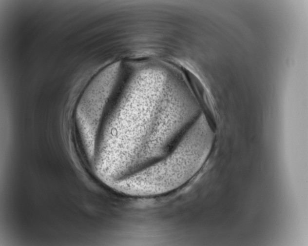X0000089710097200707201809