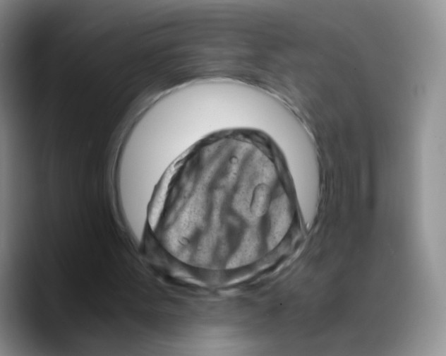 X0000089710099200707201808