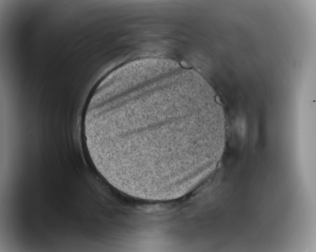 X0000089710100200707201808