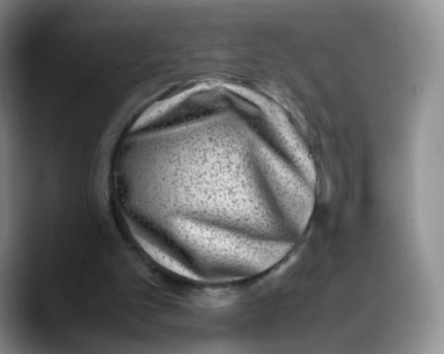 X0000089710101200707201808
