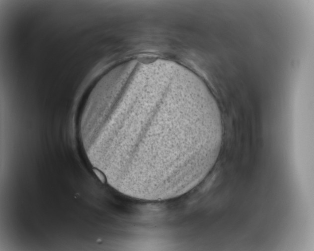 X0000089710102200707201808