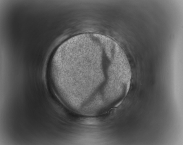 X0000089710104200707201808