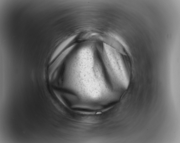 X0000089710105200707201808