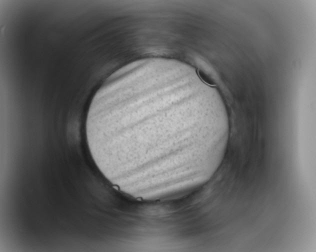 X0000089710106200707201808