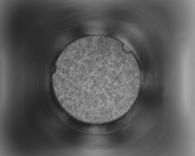 X0000089710109200707201808