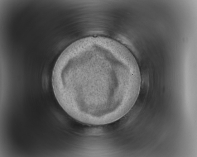 X0000089710110200707201808