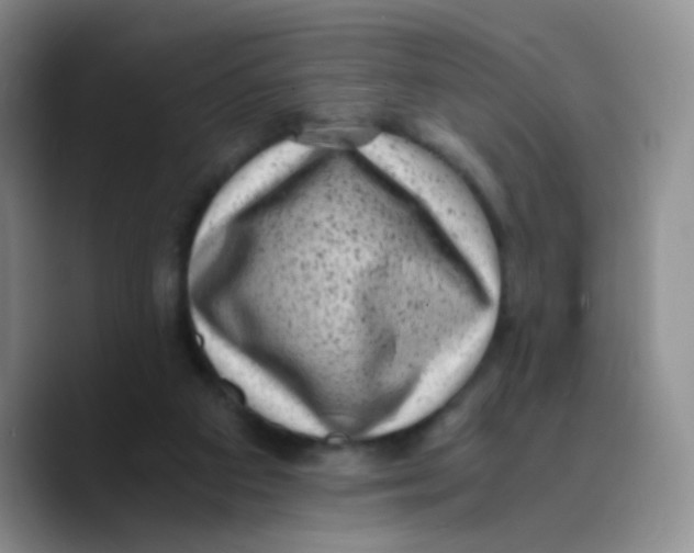 X0000089710113200707201808
