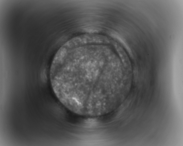 X0000089710114200707201808