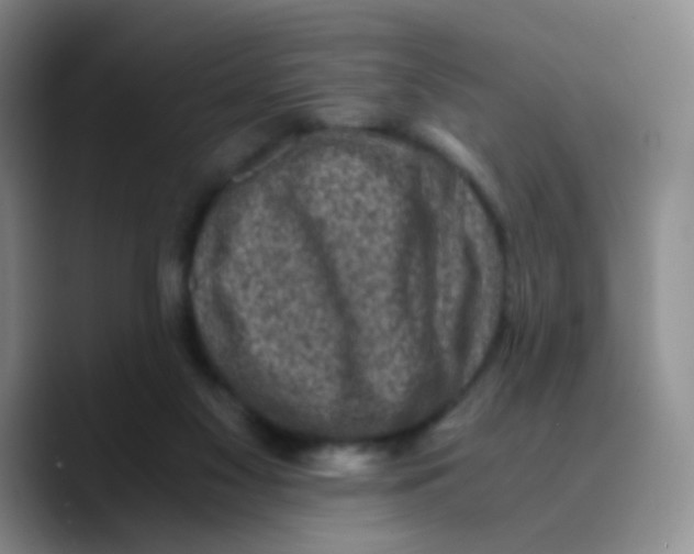 X0000089710117200707201808