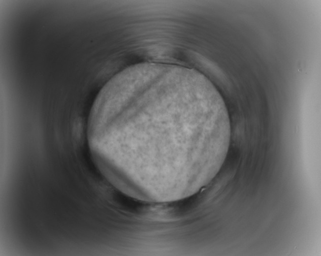 X0000089710121200707201808