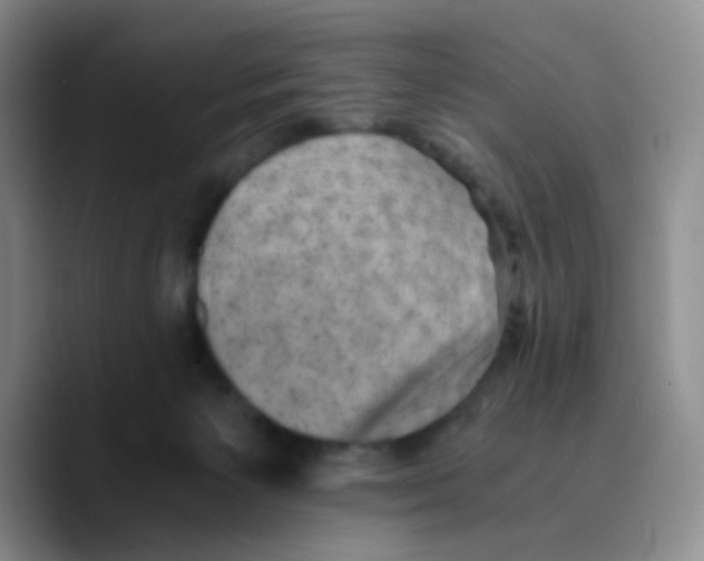 X0000089710125200707201808
