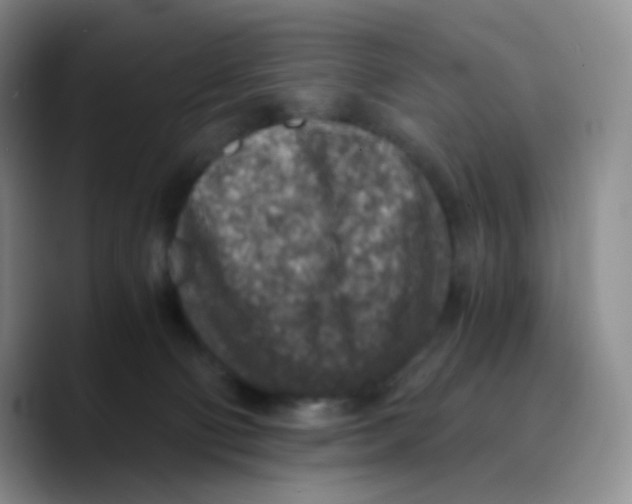 X0000089710130200707201808