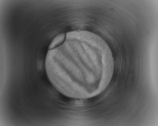 X0000089710134200707201808
