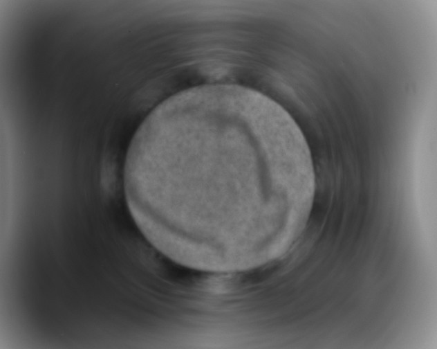 X0000089710136200707201808