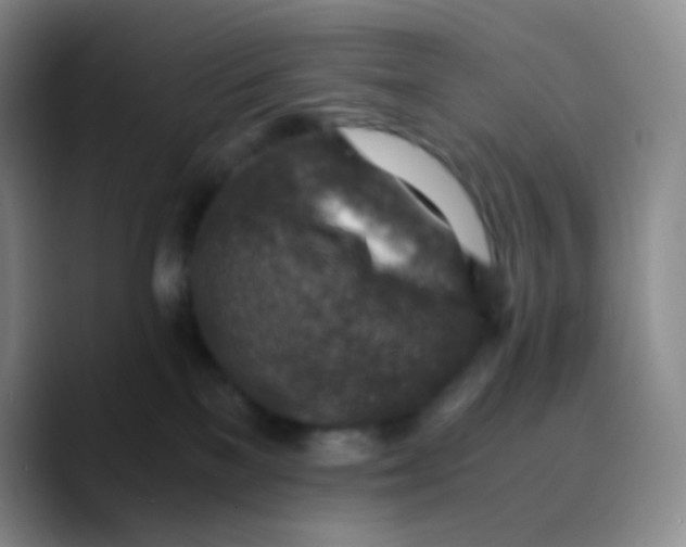 X0000089710137200707201808