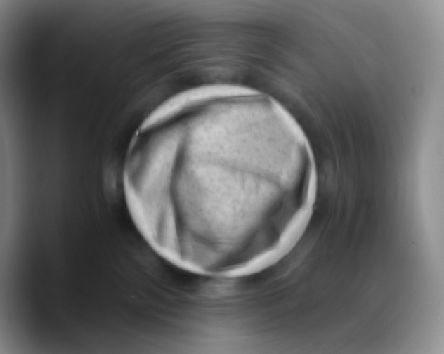X0000089710138200707201808