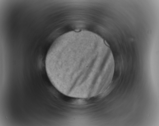 X0000089710140200707201808