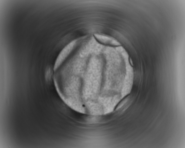 X0000089710142200707201808