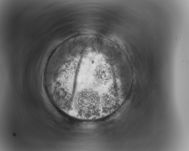 X0000089710145200707201807