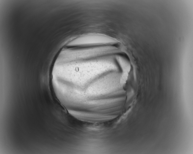 X0000089710148200707201807