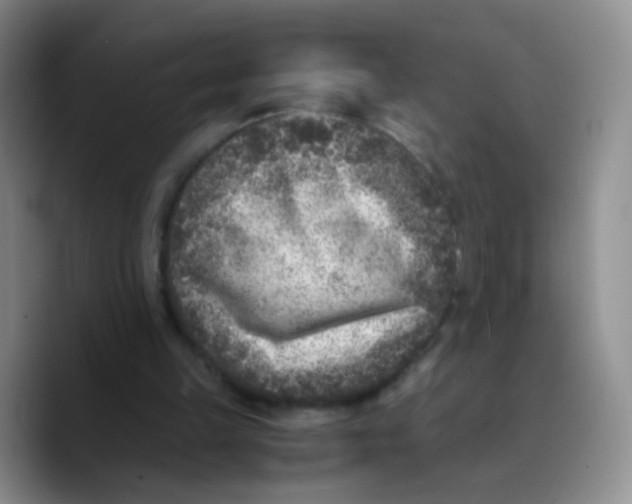 X0000089710149200707201807