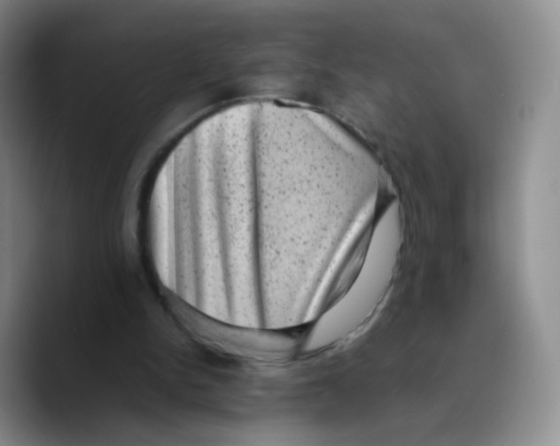 X0000089710150200707201807