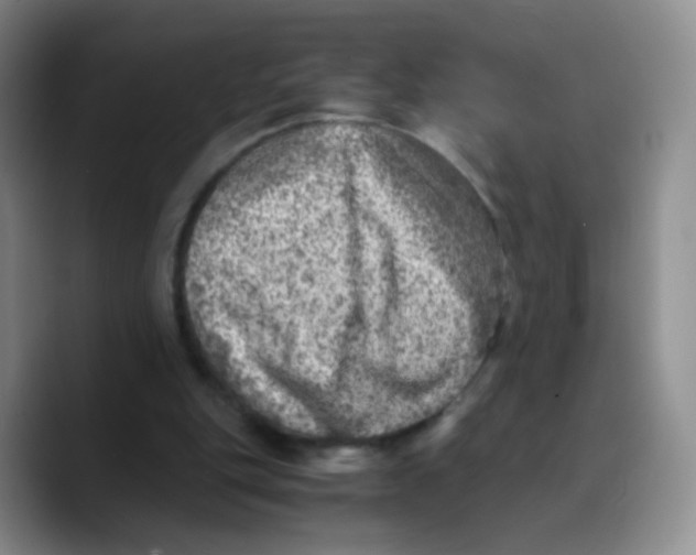 X0000089710151200707201807