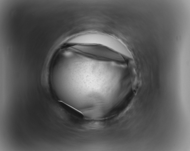 X0000089710152200707201807