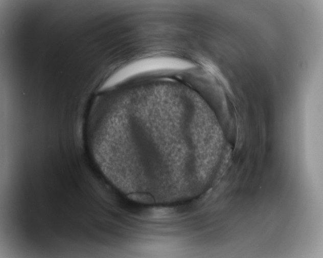 X0000089710154200707201807